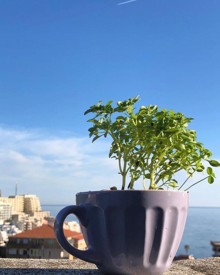 Studio Apartments Kul Budva Kültér fotó